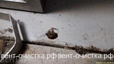 Обучение сотрудников - залог успешной работы