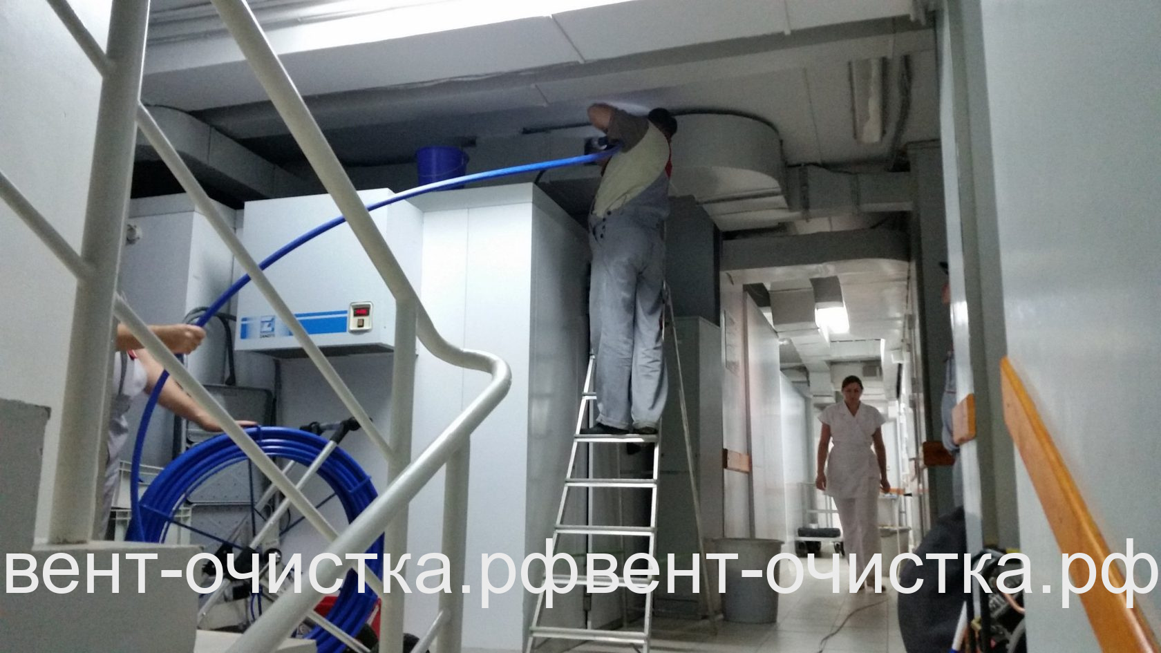 Кто обязан провести дезинфекцию летом 2020 года?