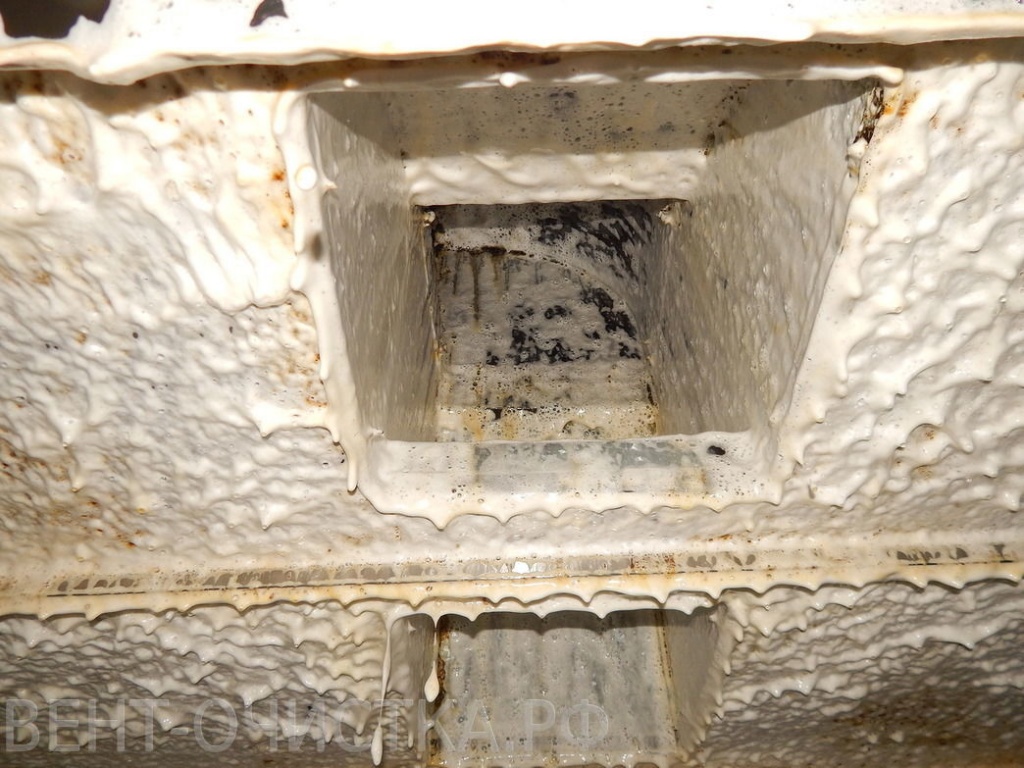 DSCN4426.jpg