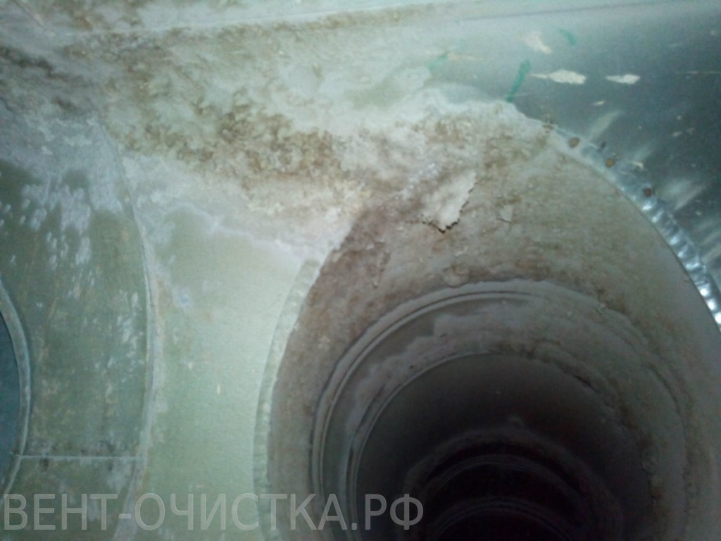 2013-12-13-14-56-56.jpg.jpg