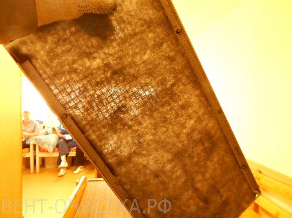 DSCN5231.jpg