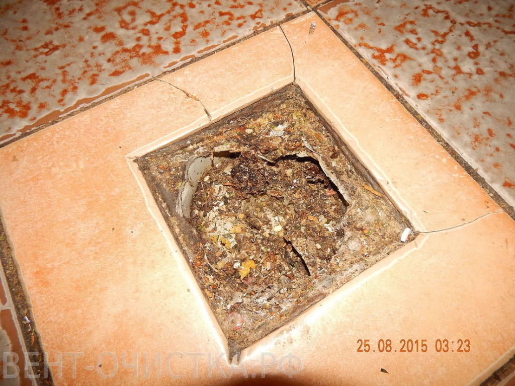 DSCN7555.jpg